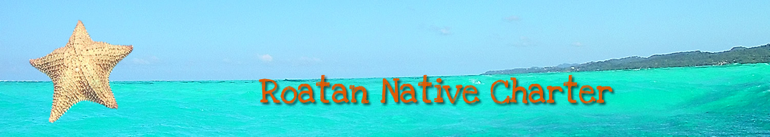 Roatan Native Charter