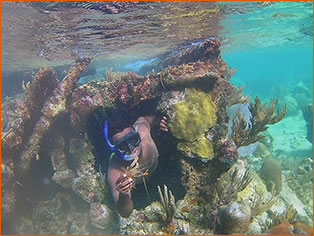 Shipwreck, Snorkeling and Fishing Tour by Roatan Native Charter